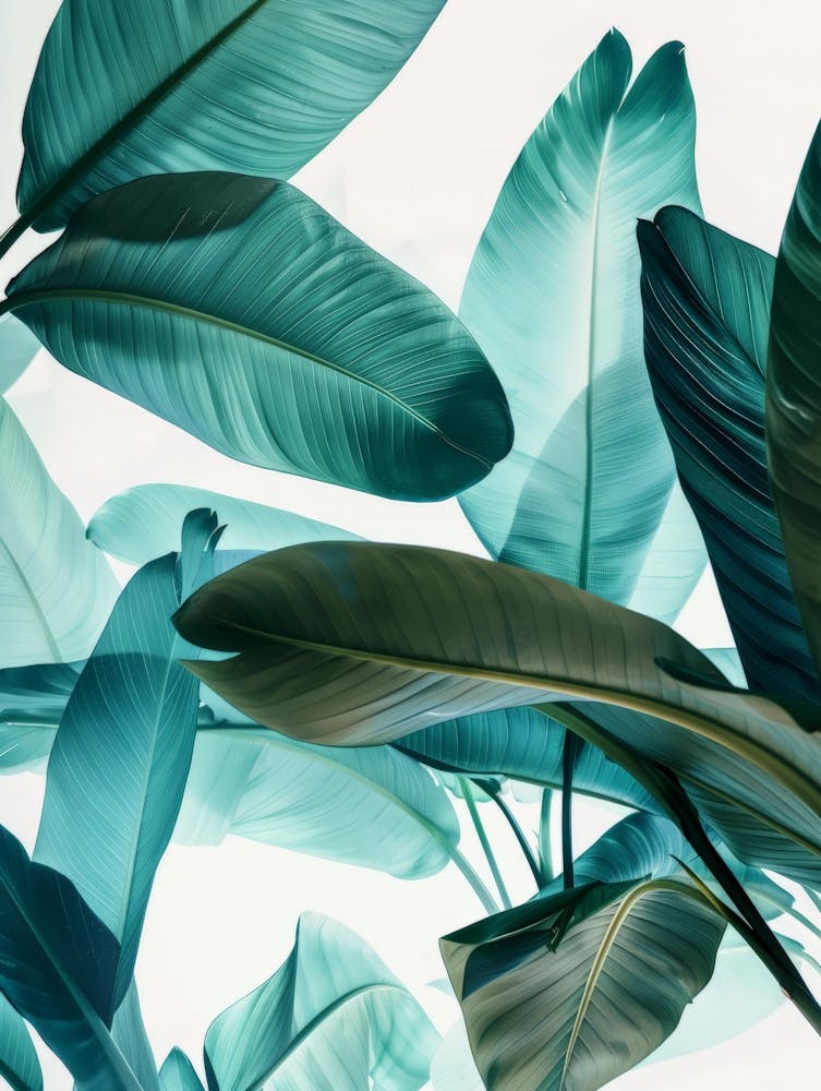 Tropical Leaves 84
