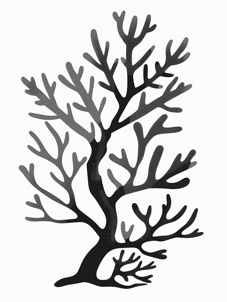 Coral Tree 1
