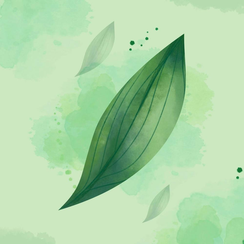 Green Leaf 2