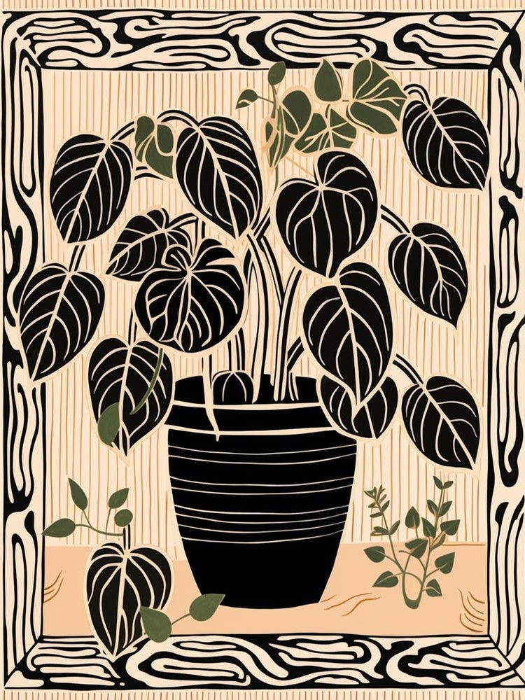 B&W Plant Illustration Philodendron 1