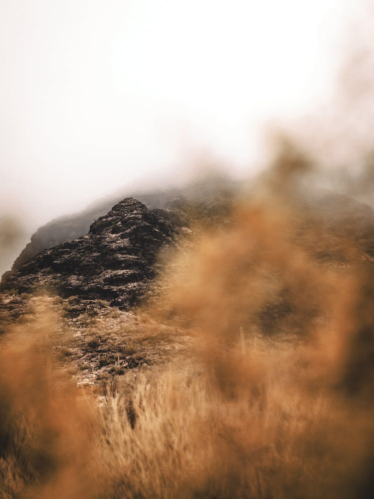 Foggy Morning In The Sonoran Desert 1
