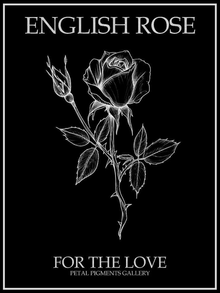 English Rose Black And White Line Drawing 24 Poster Inverted