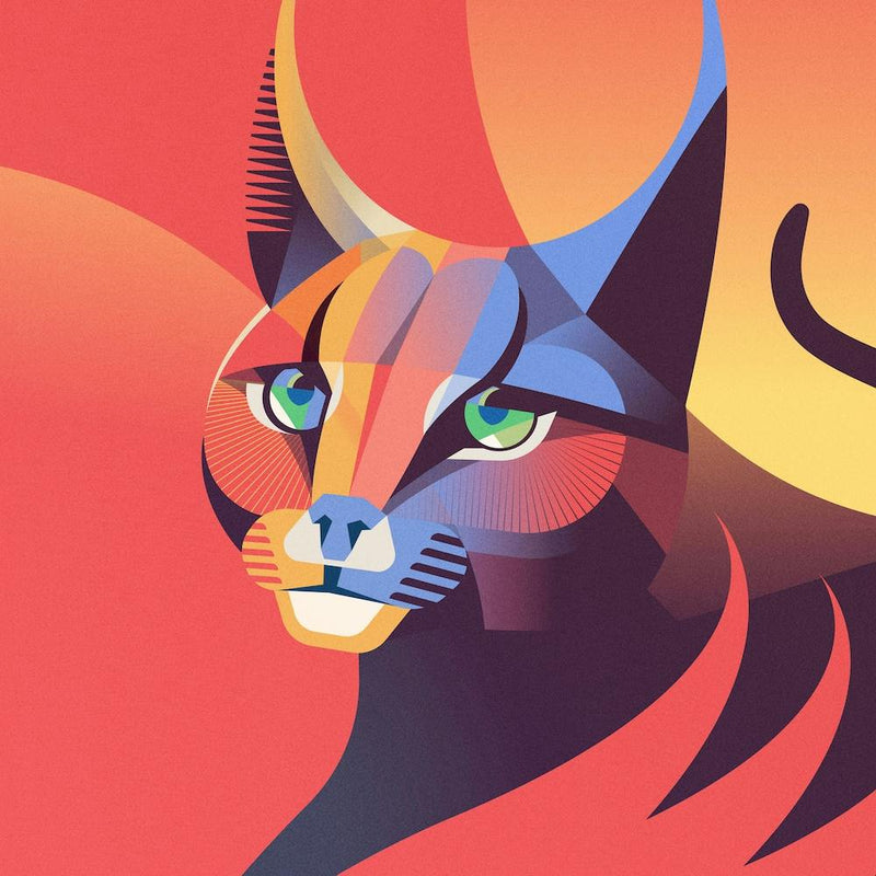 Lynx Persan Carré