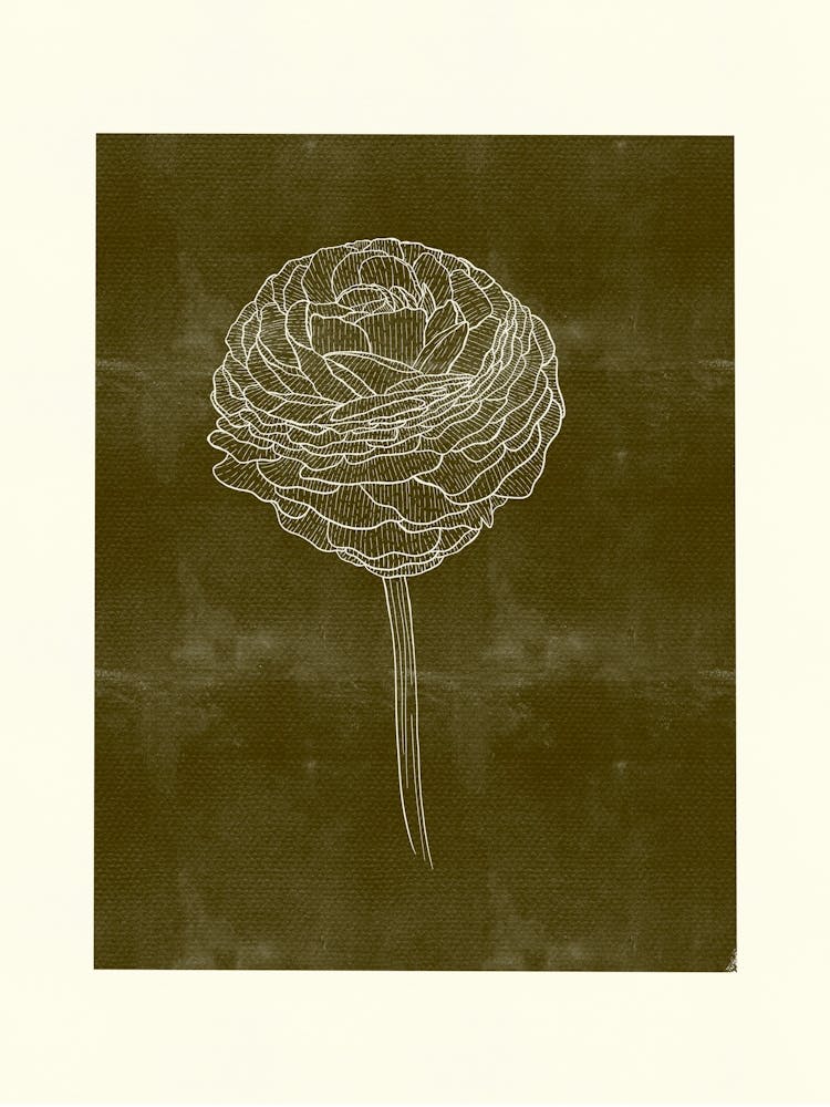 Quiet Bloom