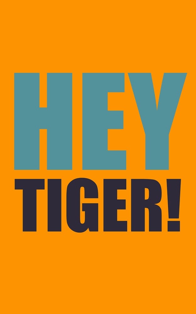 Hey Tiger Orange And Blue