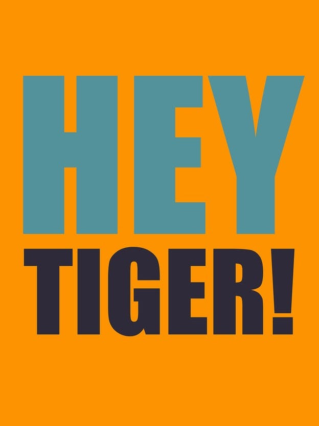 Hey Tiger Orange And Blue