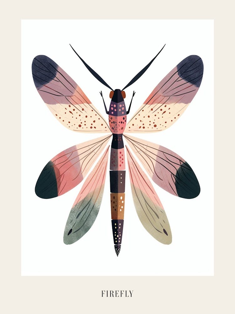 Colourful Insect Illustration Firefly 13 Poster