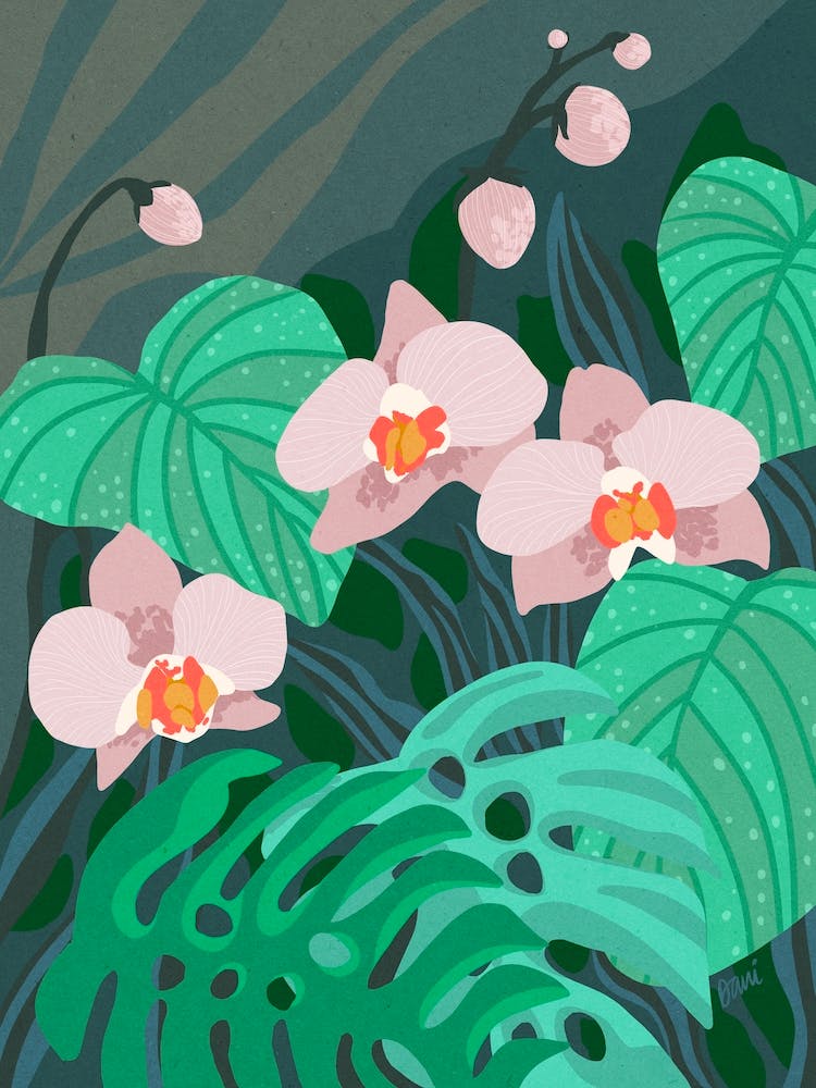 Orchids In The Jungle 1