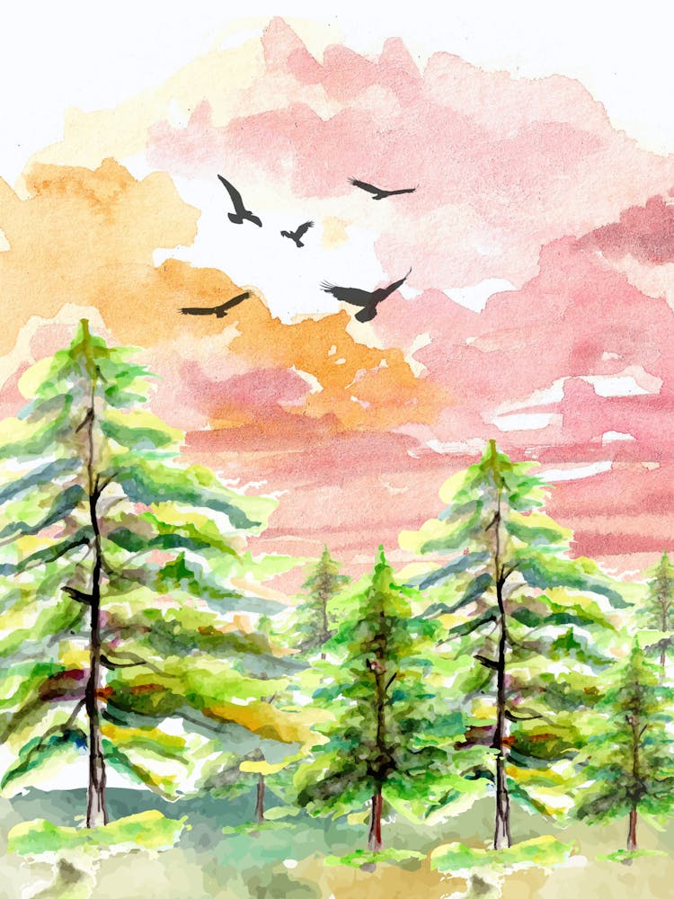 Watercolor Of Pine Trees