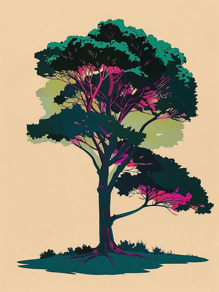Cedar Tree Colourful Illustration 4