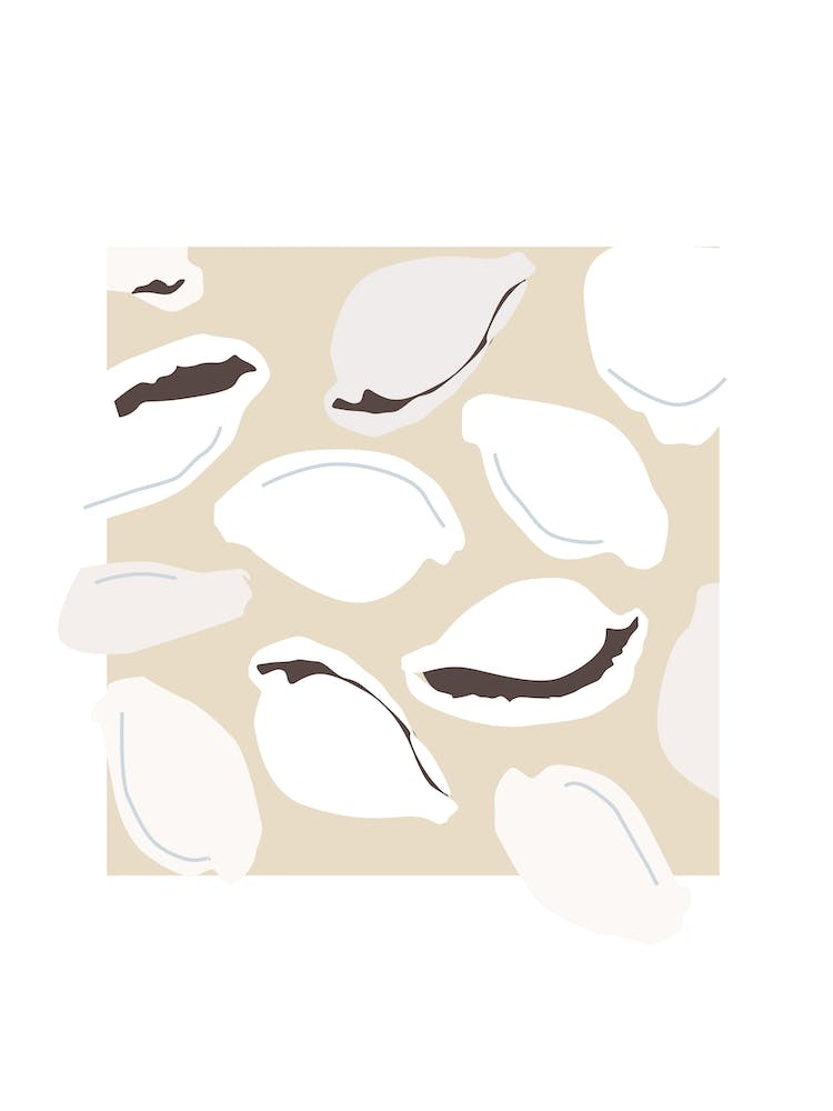 Summer Beach Cutout Shells