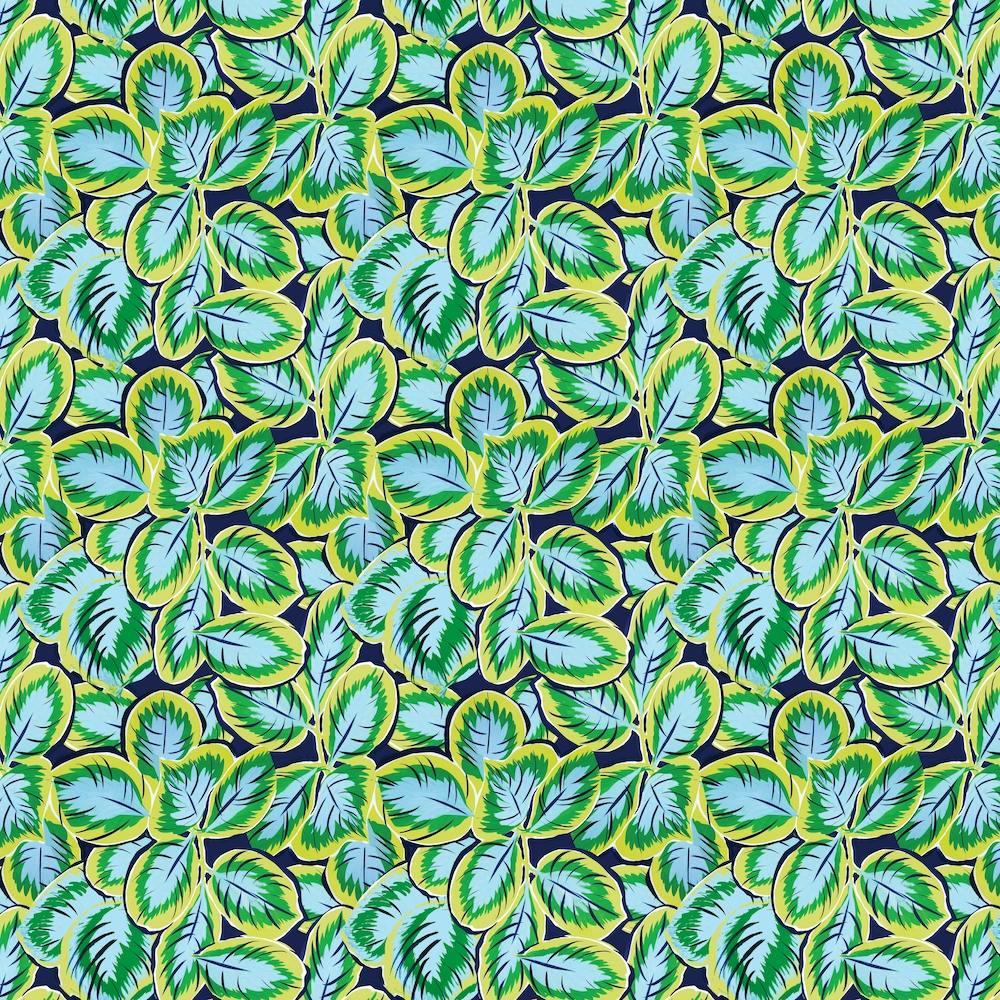 Green Calathea