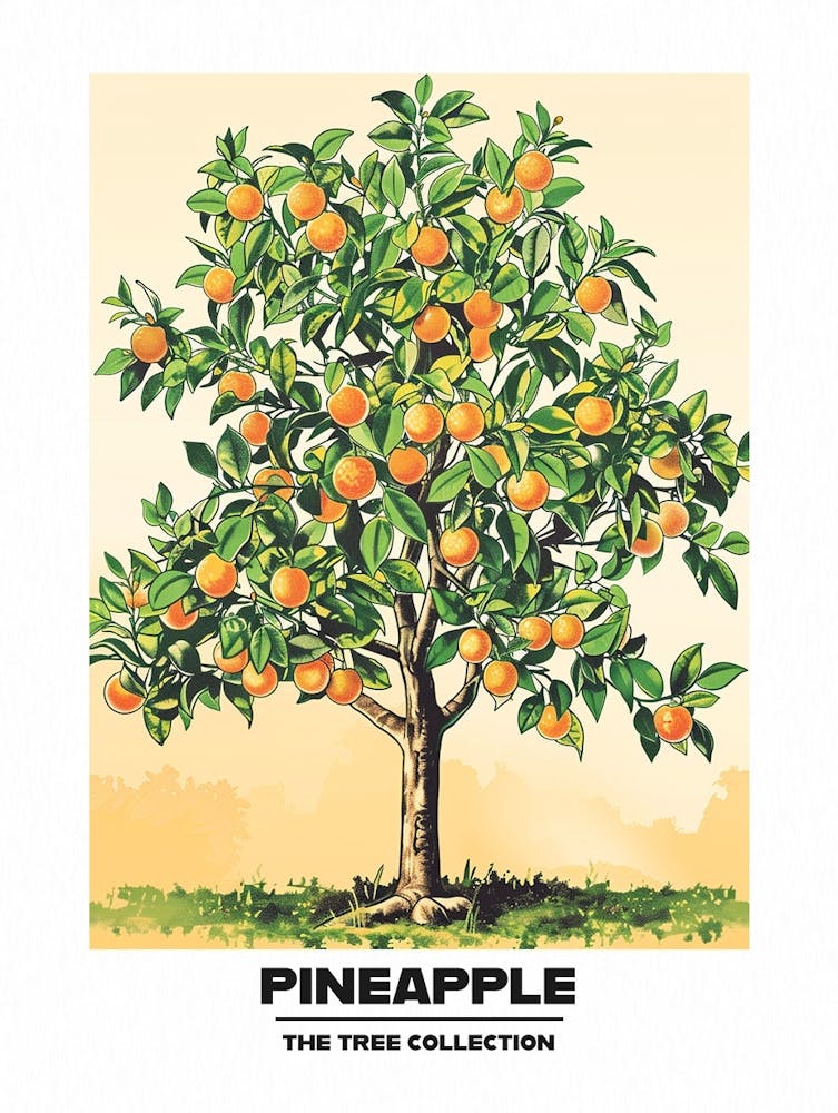 Pineapple Tree Storybook Illustration 3 Poster