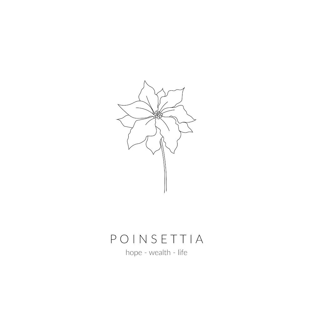 Poinsettia Birth Flower Square
