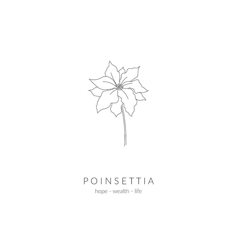 Poinsettia Birth Flower Square