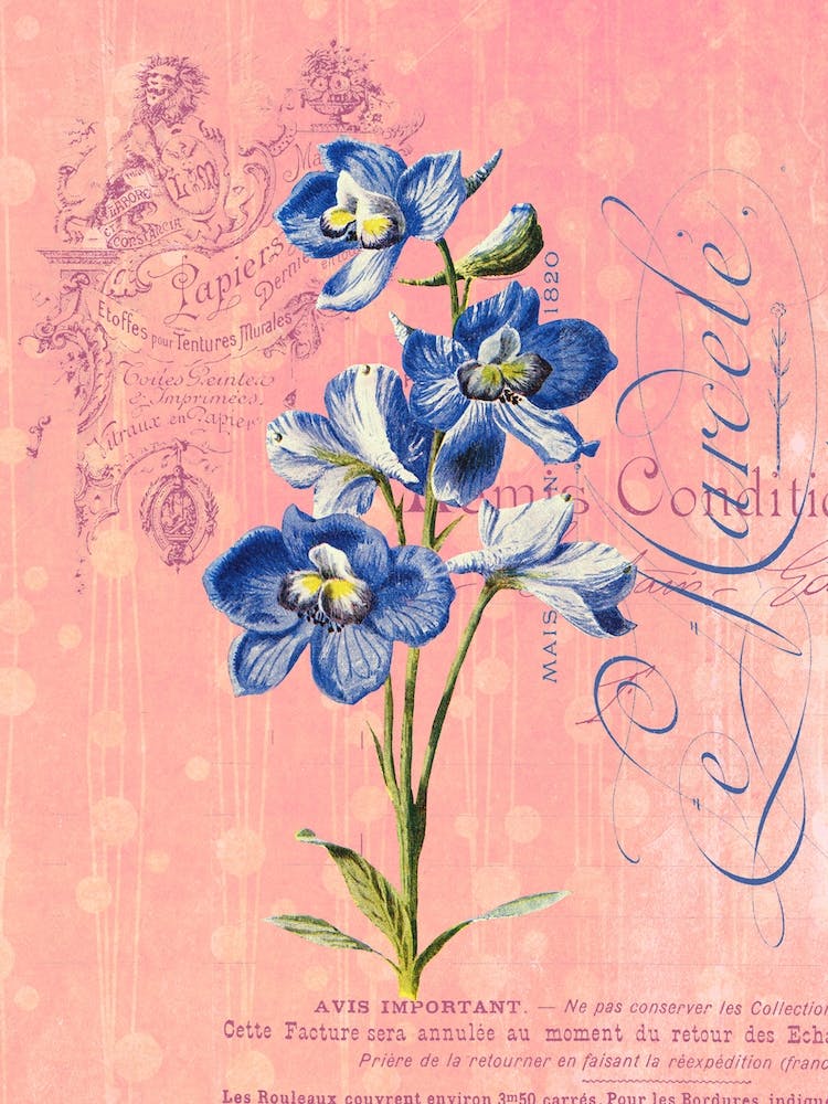 Floral Garden 6