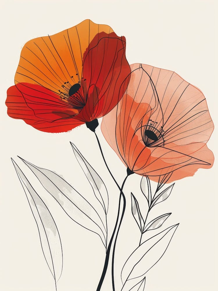 Poppies 28