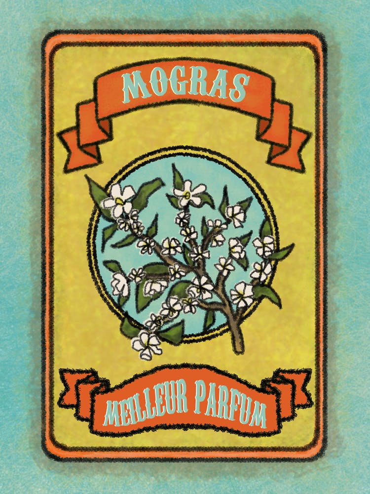 Floral Retro Poster