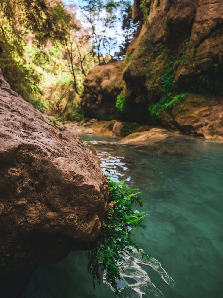 Water In The Canyon