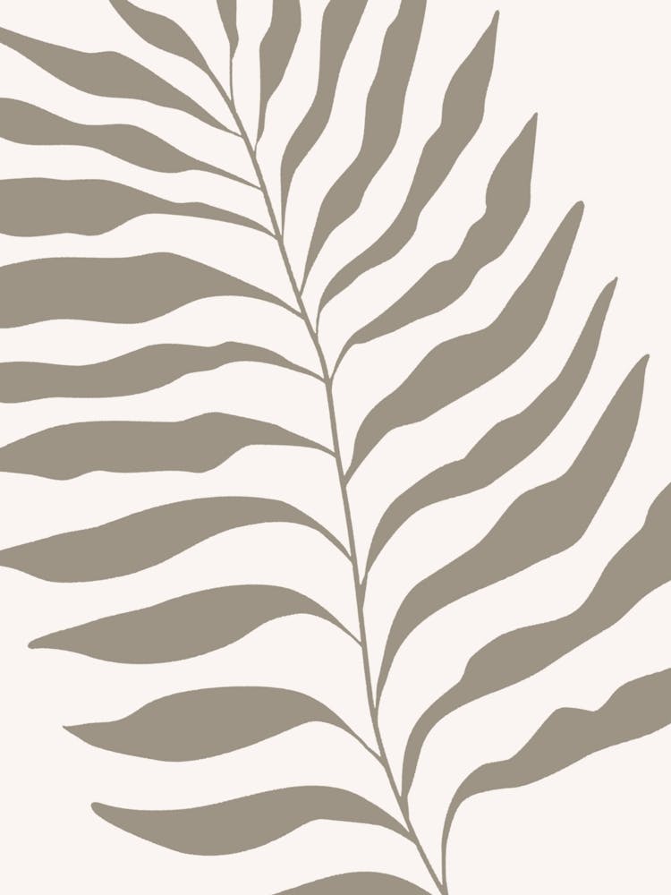 Fern Leaf 3