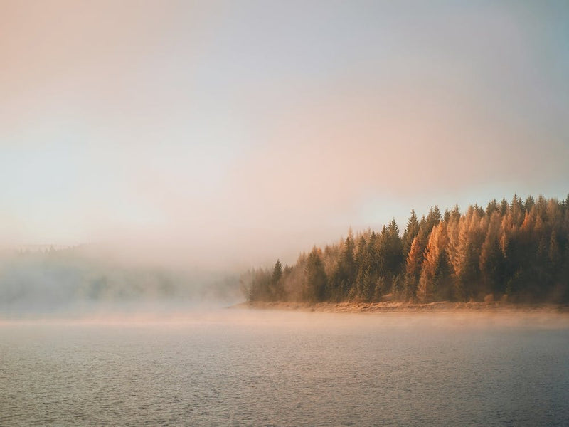 Forest Lake Sunset