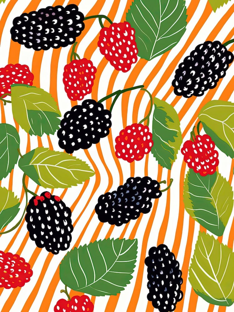 Mulberries Fruit Summer Illustration 3