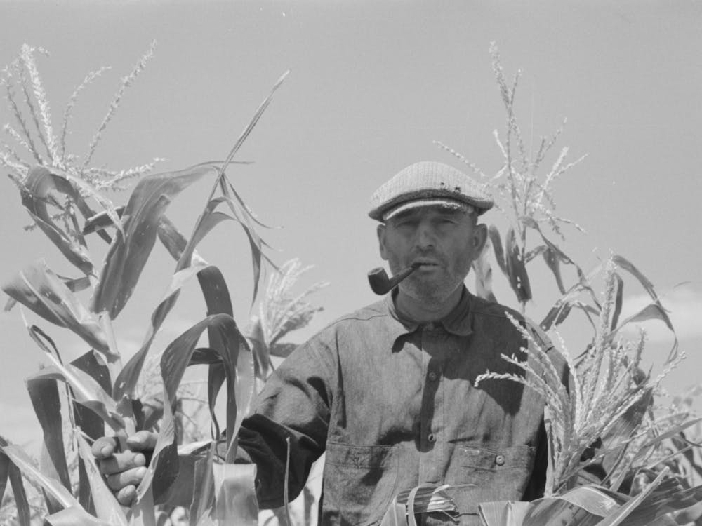 Untitled Photo, Possibly Related To Mr, Wright, Tenant Farmer Of Mr Johnson And In Cooperative With Him In Irrigatio