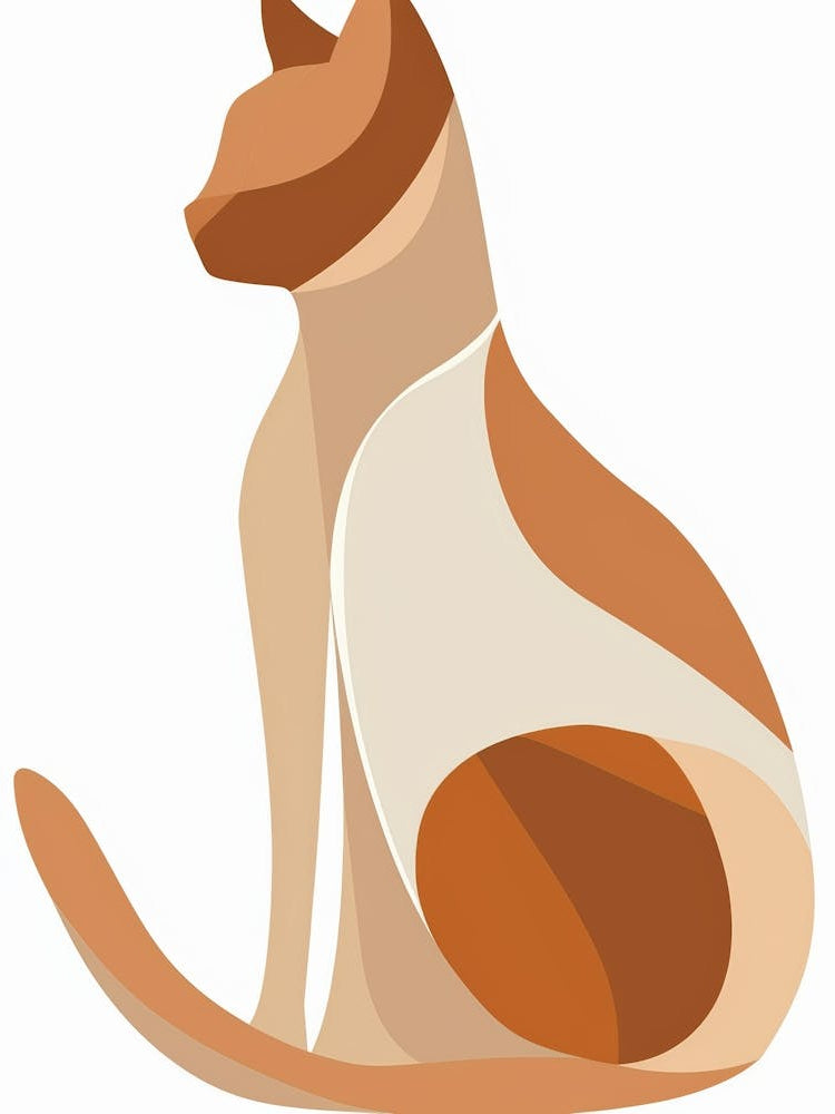 Cat Sitting On White Background