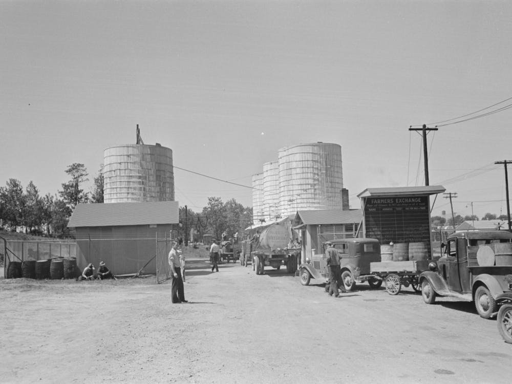 Untitled Photo, Possibly Related To Farmer Waiting In Line For Load Of Liquid Feed, Owensboro, Kentucky By Russell 1