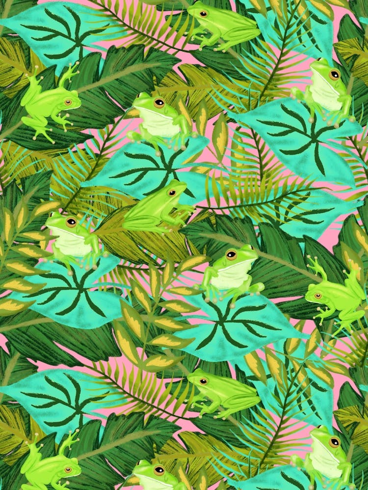 Hiding Tropical Tree Frogs in Green Foliage on Pink