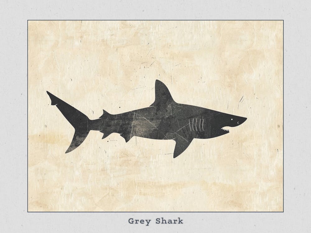 Grey Shark Silhouette 3 Poster