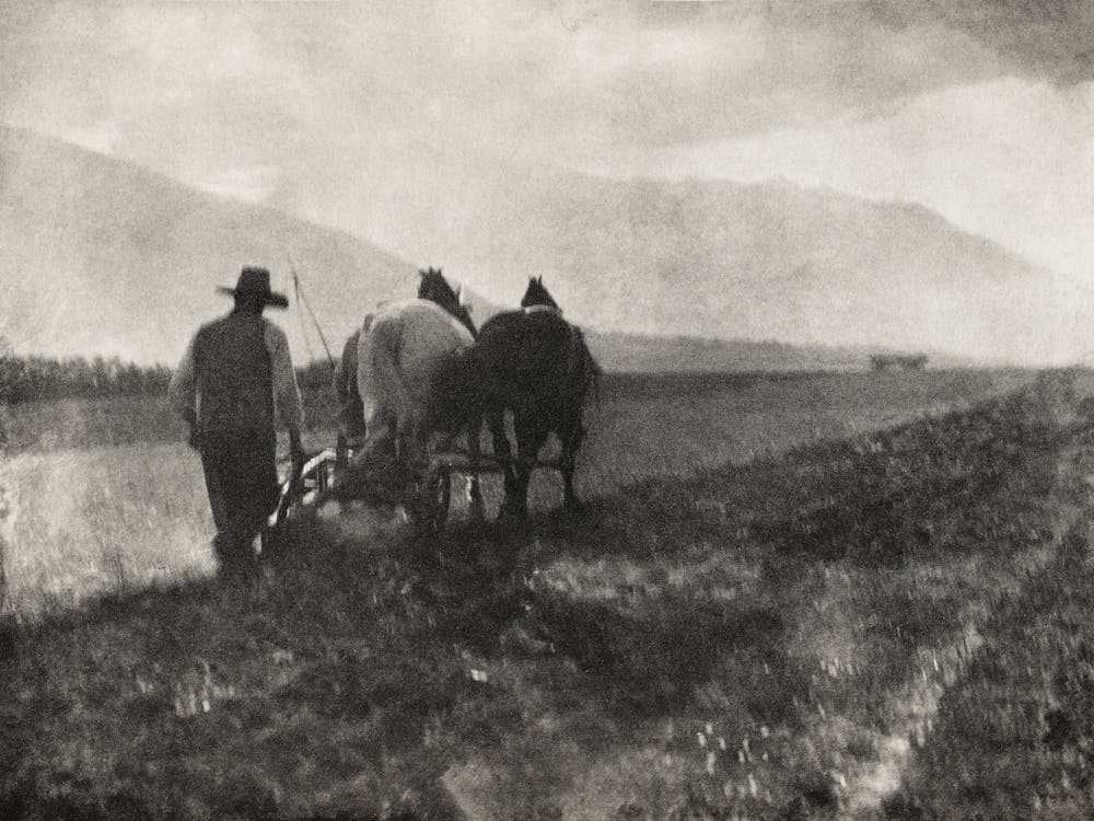 Ploughing (1904) Photographed, Alfred Stieglitz