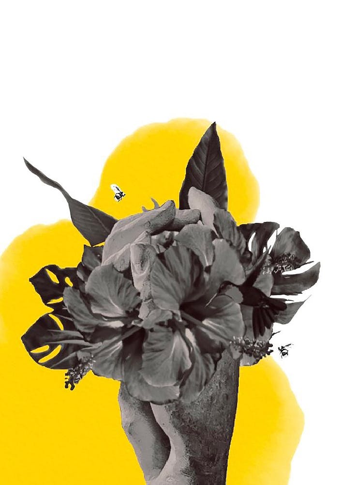 Bouquet