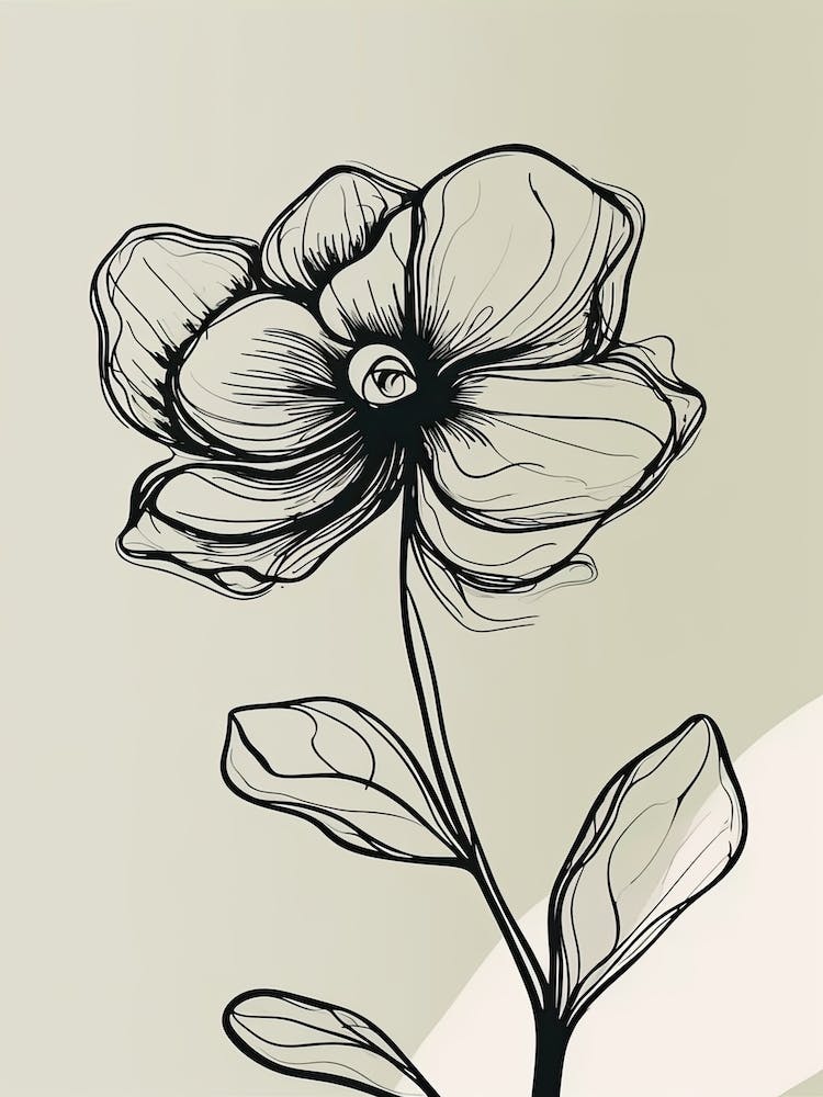 Line Art Orchids Flowers Illustration Neutral 8