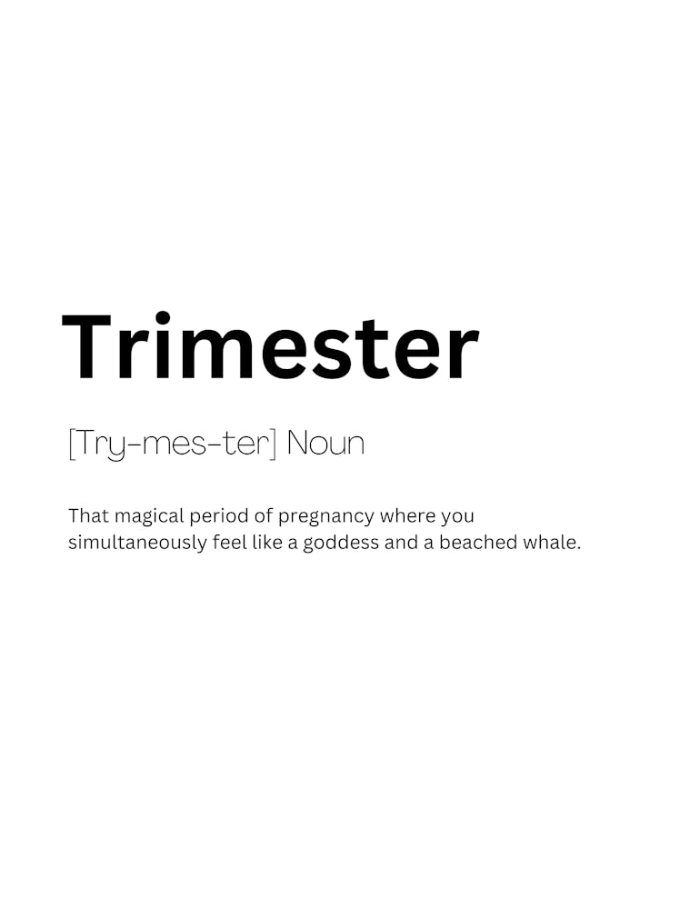 Trimestre Définition Signification