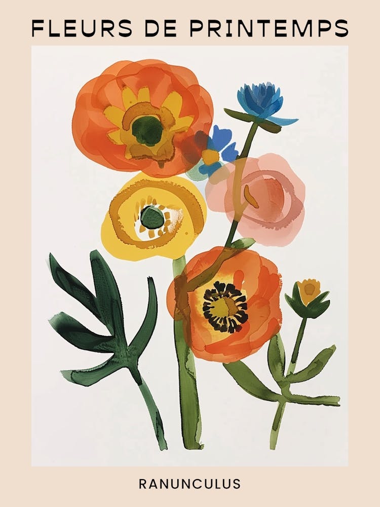 Spring Floral French Poster  Ranunculus 1