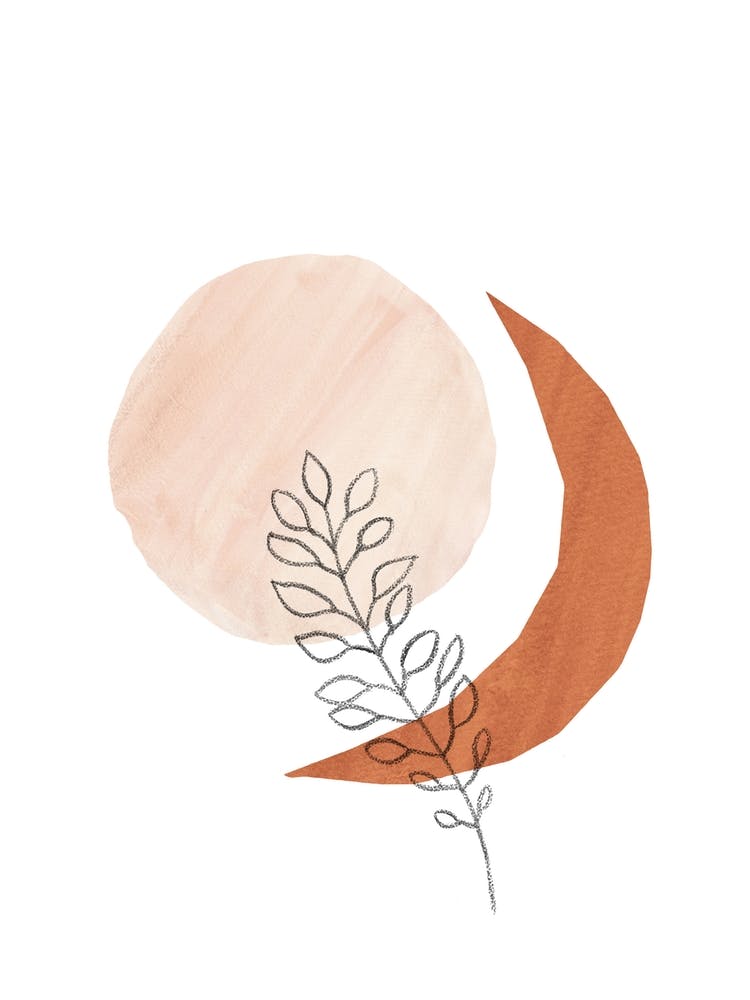 Moon And Leaf