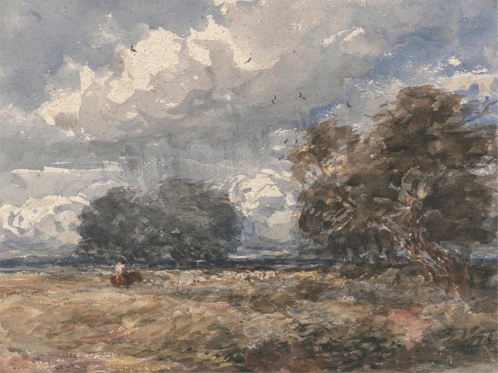 Shepherding The Flock, Windy Day, David Cox