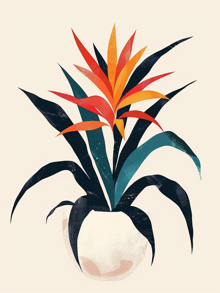 Bromeliad Plant Minimalist Illustration 6