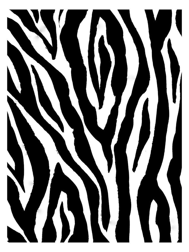 Zebra Print 2