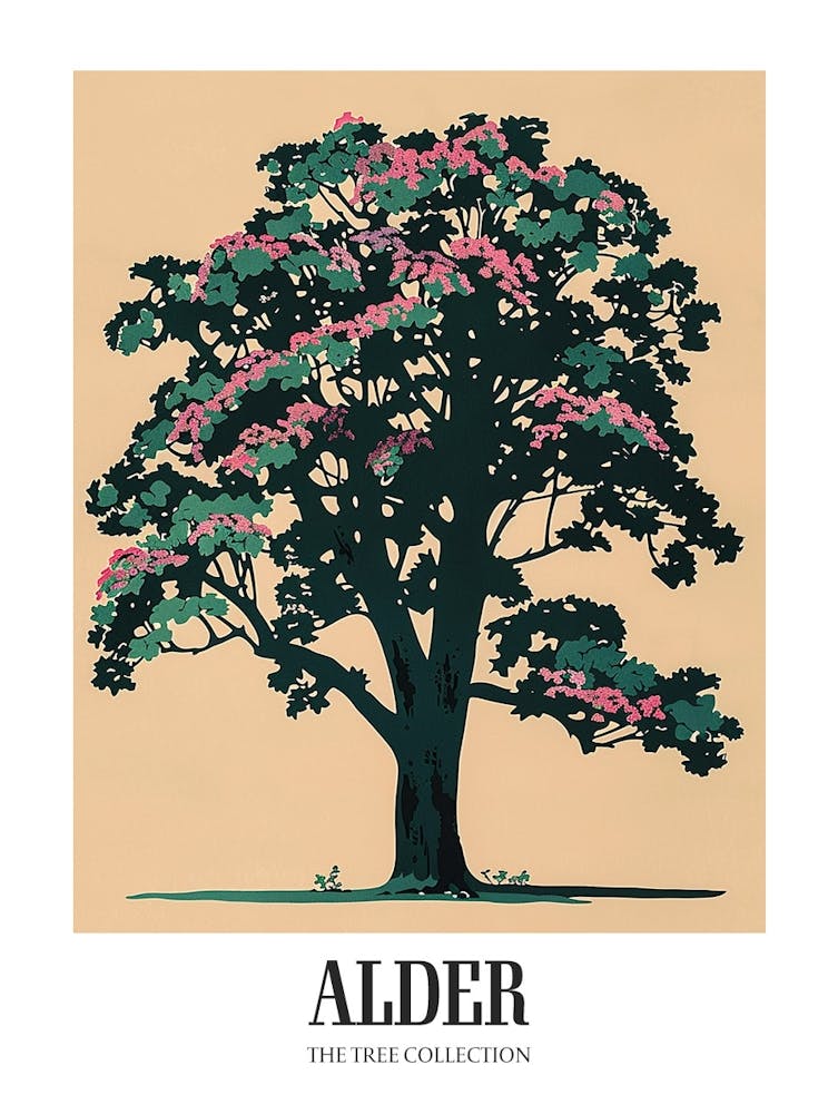Alder Tree Colourful Illustration 1 Poster