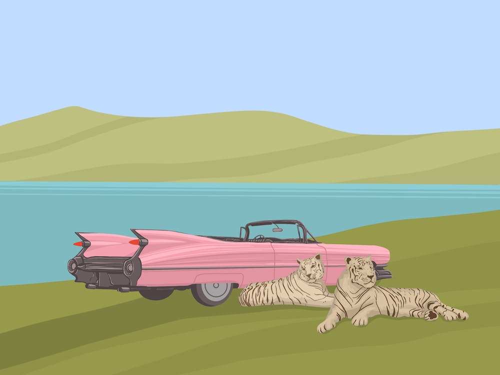 Tigers And Car, tigers, classic car, Cadillac, animals, landscape, illustration, wall art