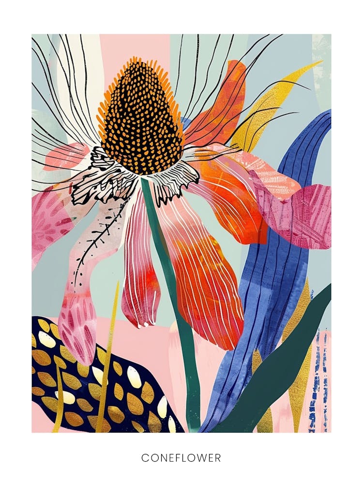 Colourful Flower Illustration Poster Coneflower 2