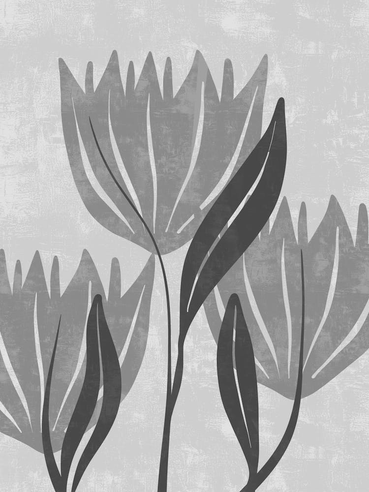 Tulips 1