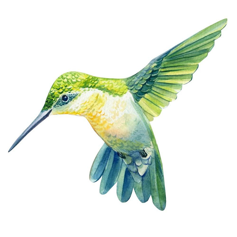 Bird1