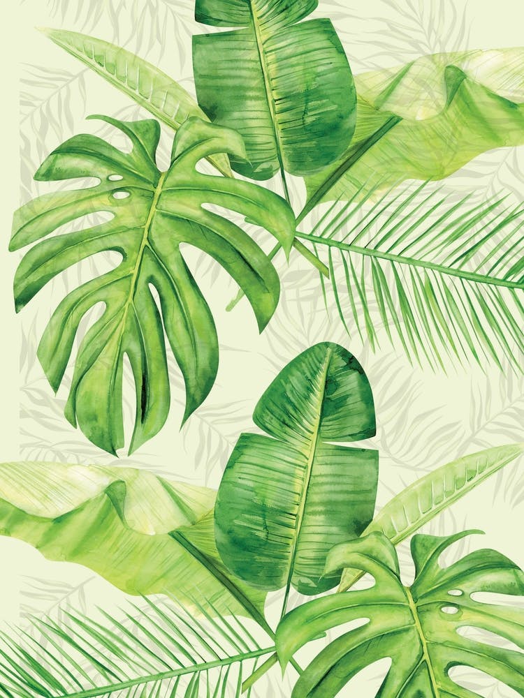 Tropical Leaves