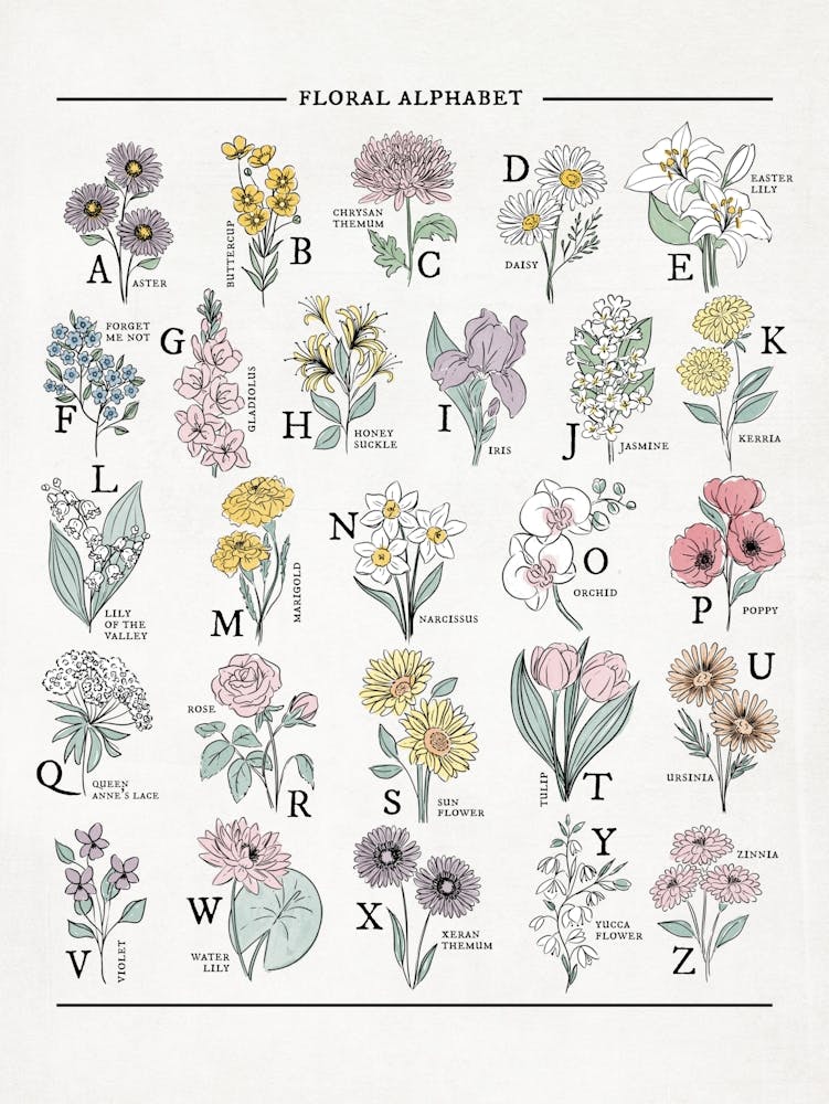 Alphabet Floral | Aquarelle