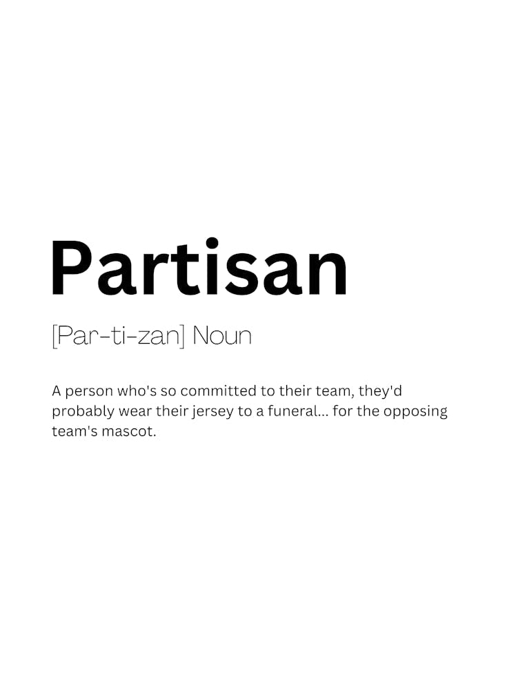 Partisan Definition Meaning 1