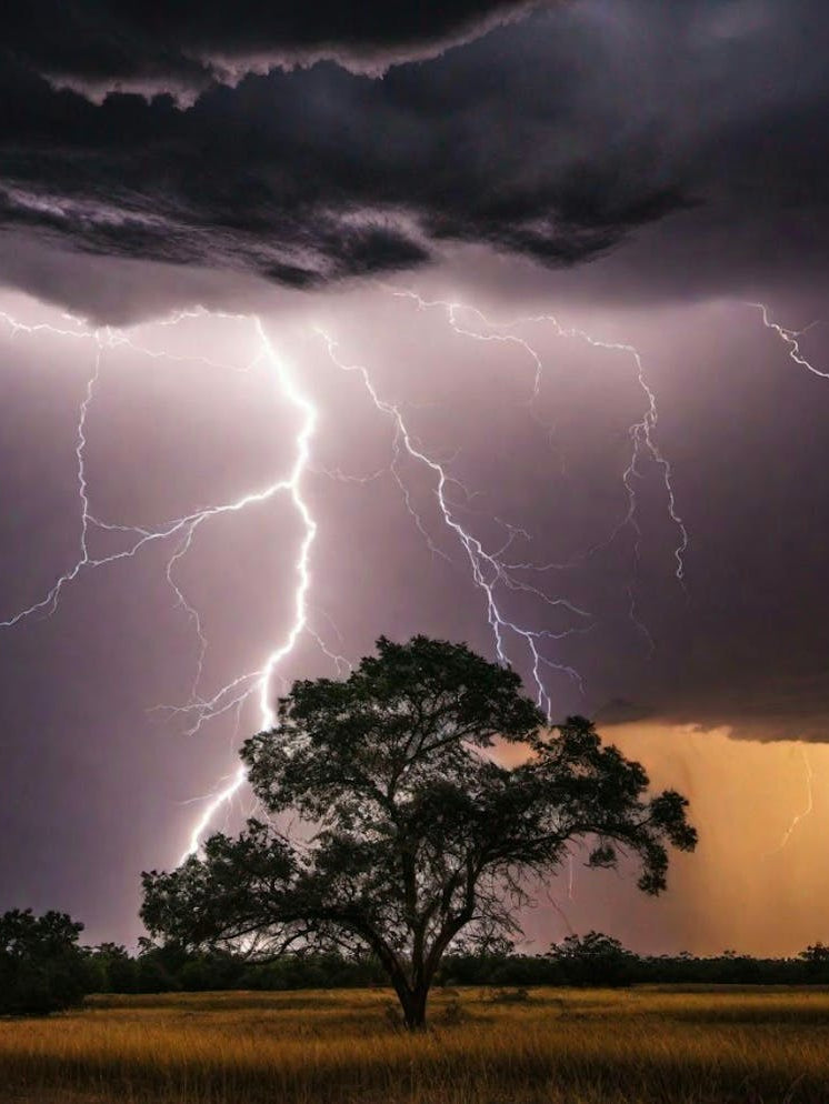 Lightning streak tree