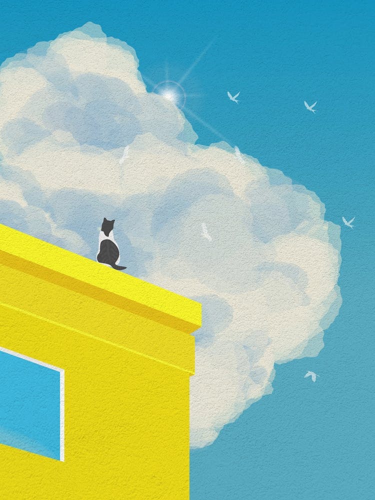Minimal art Cat On A Roof with Beautiful Sky